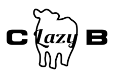C Lazy B